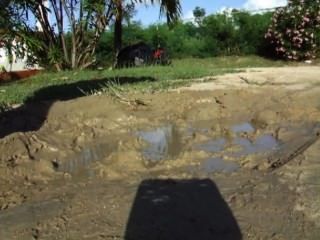 Kitty mud bath - anybunny.com